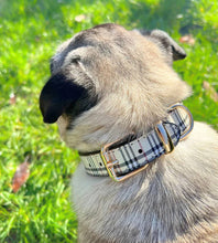 Load image into Gallery viewer, Plaid and Bougie Dog Collar
