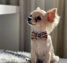 Load image into Gallery viewer, Designer Inspired Preppy Plaid Dog Bowtie Collar
