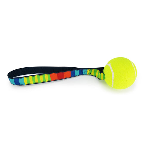Party Stripes - Tennis Ball Toss Toy - FOX Avenue
